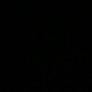 Meet your Posher, Josie